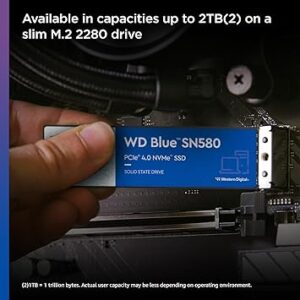 WDD Blue Gaming SSD